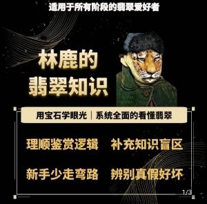林鹿的翡翠知识，​用宝石眼光，系统全面的看懂翡翠-全有网创