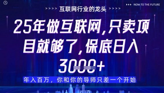 什么!25年你还在找项目做?风口早就变了,卖项目才是稳挣不赔【揭秘】-全有网创