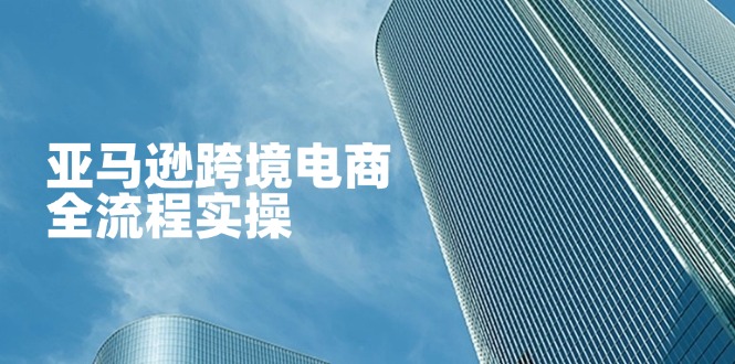 (14252期)亚马逊跨境电商全流程实操,教你从零开始,掌握店铺运营与广告技巧-全有网创
