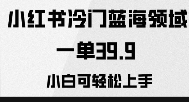 小红书冷门蓝海领域，一单39.9，小白可轻松上手-全有网创