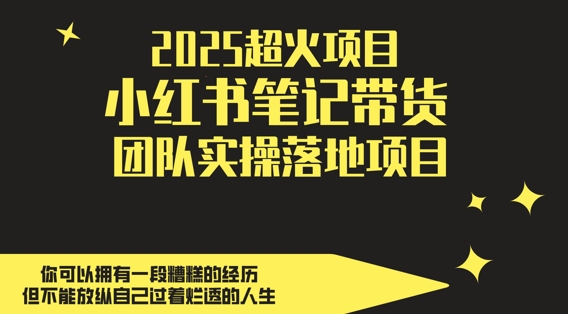 2025超火项目，副业最佳选择，小红书笔记带货团队实操落地项目，，轻松日入5张-全有网创