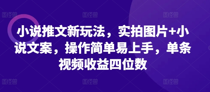 小说推文新玩法，实拍图片+小说文案，操作简单易上手，单条视频收益四位数-全有网创