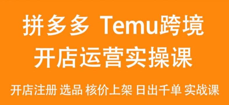 2024Temu最新玩法,Temu跨境开店运营实操课,开店注册/选品/核价上架/日出千单实战课