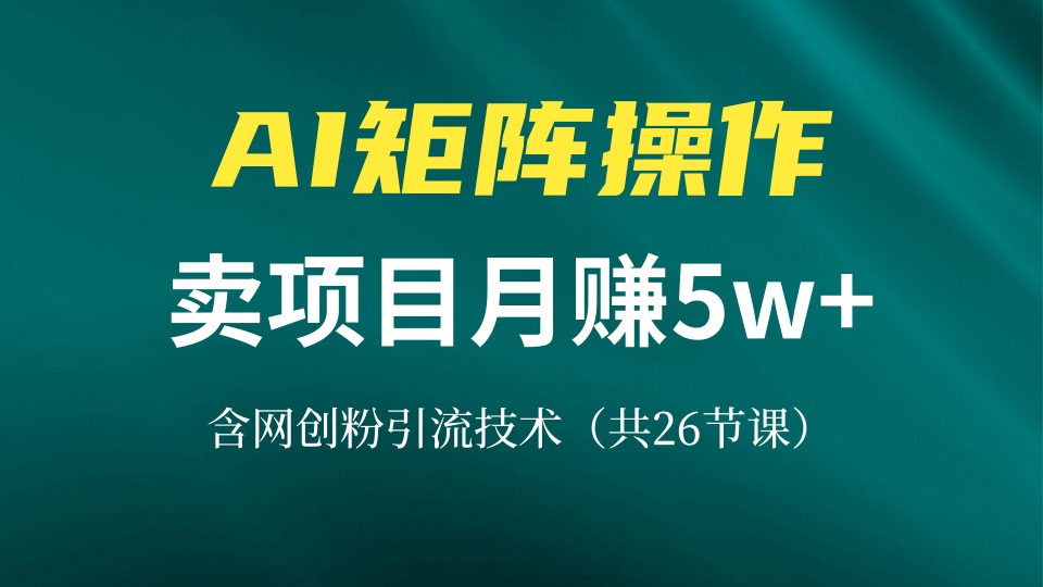 网创IP打造课，借助AI卖项目月赚5万+，含引流技术(共26节课-全有网创