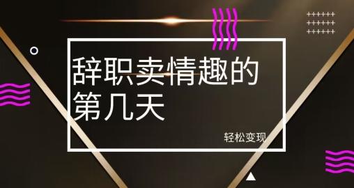 冷门赛道，辞职卖情趣的第几天，超暴力项目-全有网创