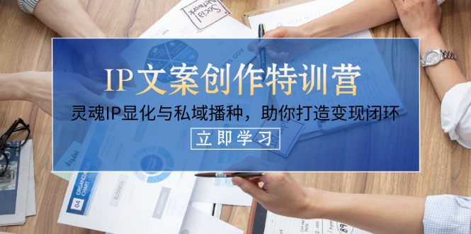 （14330期）IP文案创作特训营，灵魂IP显化与私域播种，助你打造变现闭环（14节课）-全有网创