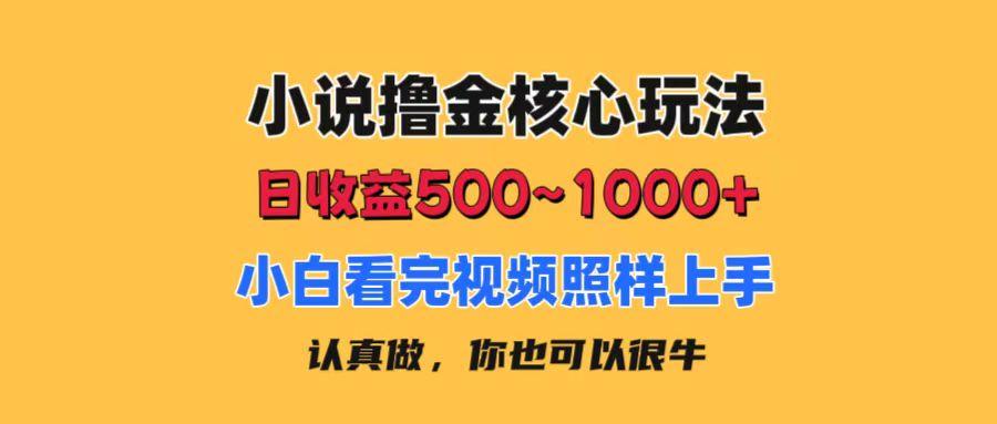 小说撸金核心玩法，日收益500-1000+，小白看完照样上手，0成本有手就行-全有网创