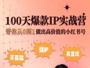 小红书100天爆款IP实战营,带你从0到1做出高价值的小红书号