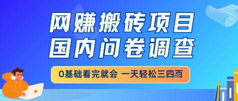 网创搬砖项目,国内问卷调查,小白轻松上手,一天三四张的也不难,干就完了【揭秘】