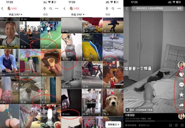 抖音最新双图文卡模板搬运技术，安卓苹果通用，百万千万播放嘎嘎爆-全有网创