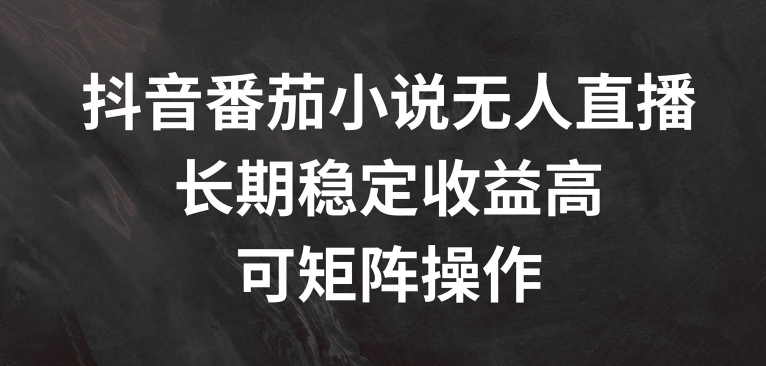 抖音番茄小说无人直播，长期稳定收益高，可矩阵操作【揭秘】-全有网创