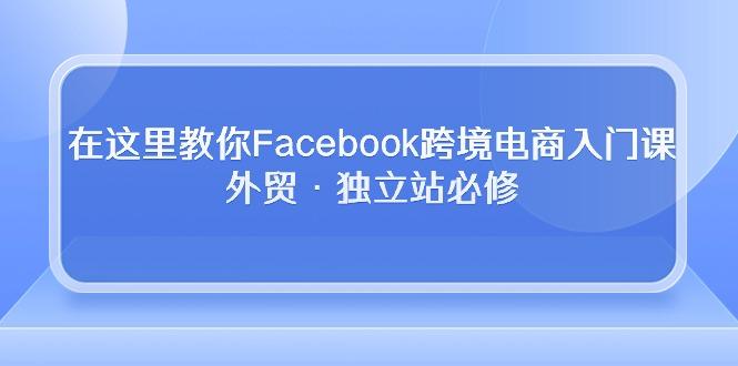 在这里教你Facebook跨境电商入门课,外贸·独立站必修-全有网创