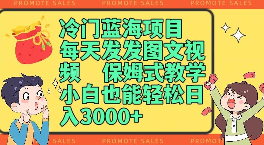 冷门蓝海项目，每天发发图文视频，保姆式教学，小白也能轻松日入3000+-全有网创