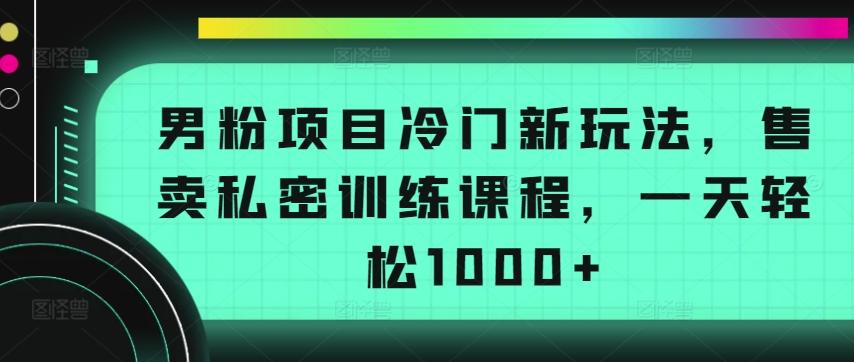 男粉项目冷门新玩法，售卖私密训练课程，一天轻松1000+【揭秘】-全有网创
