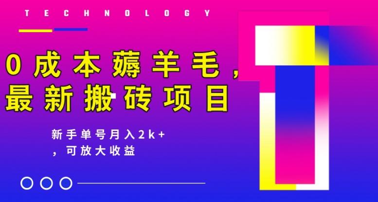 0成本薅羊毛,最新搬砖项目,新手单号月入2k+,可放大操作-全有网创