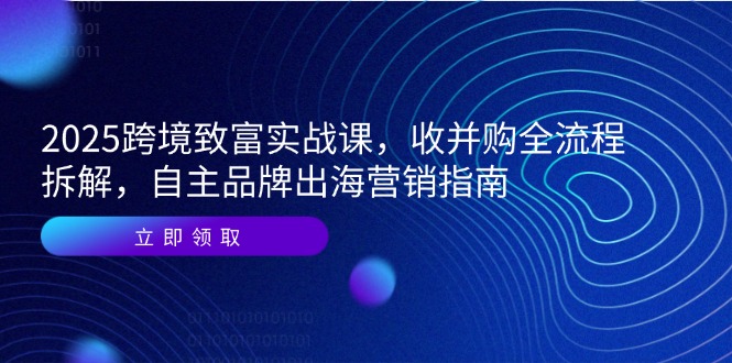 2025跨境致富实战课，收并购全流程拆解，自主品牌出海营销指南-全有网创