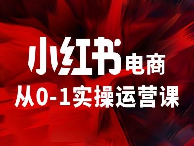 小红书电商从0-1实操运营课，让你从小白到精英-全有网创