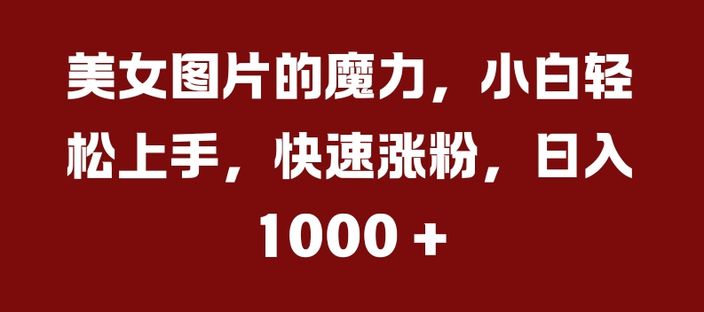 美女图片的魔力，小白轻松上手，快速涨粉，日入几张【揭秘】-全有网创