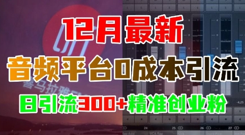 12月最新：音频平台0成本引流，日引流300+精准创业粉-全有网创