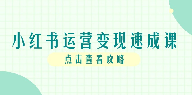 小红书运营变现速成课，账号搭建到暴力起号，个人IP全流程指南-全有网创