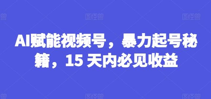 AI赋能视频号，暴力起号秘籍，15 天内必见收益【揭秘】-全有网创