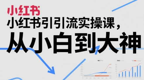 小红书引流实操课，从小白到大神-全有网创