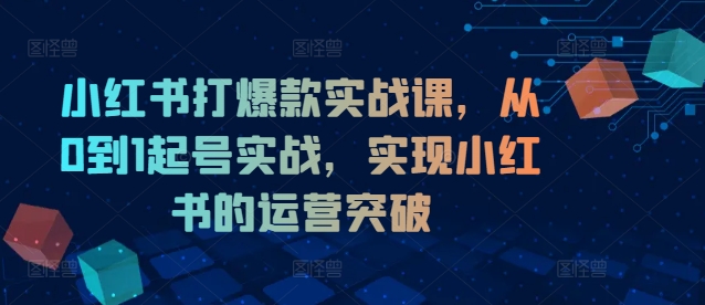小红书打爆款实战课，从0到1起号实战，实现小红书的运营突破-全有网创