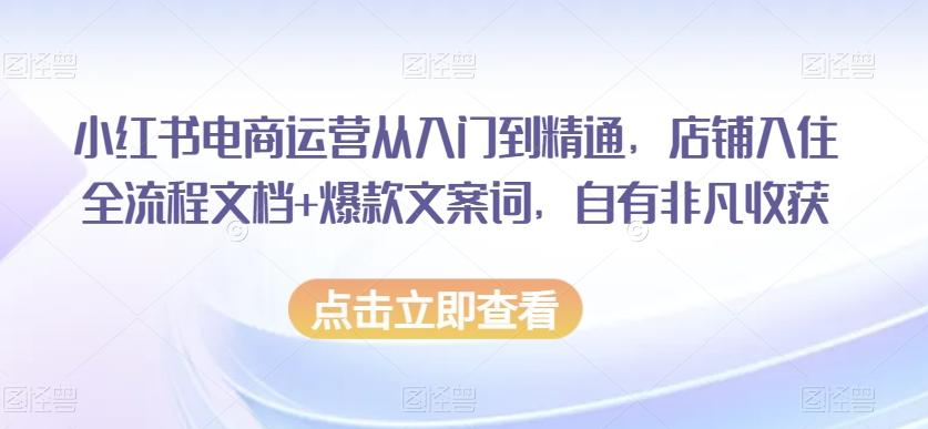 小红书电商运营从入门到精通,店铺入住全流程文档+爆款文案词,自有非凡收获-全有网创