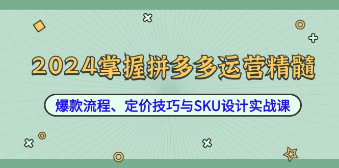 2024掌握拼多多运营精髓：爆款流程、定价技巧与SKU设计实战课-全有网创