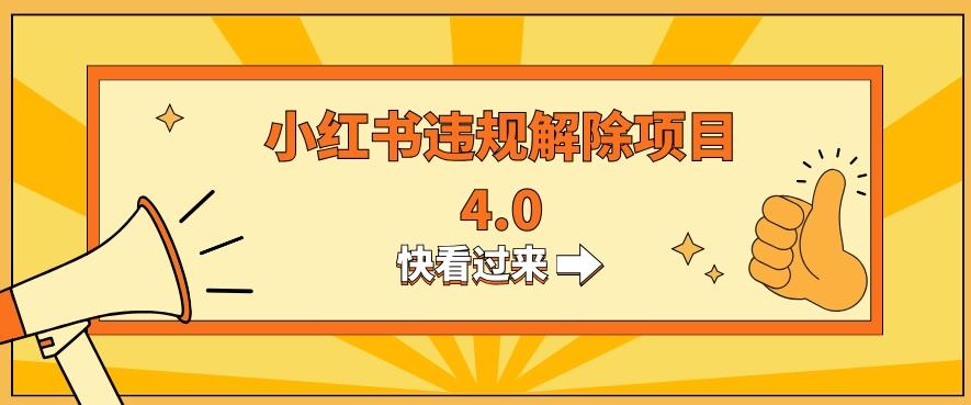 小红书违规掘金蓝海项目，日入800+（附带引流办法及解除办法）-全有网创