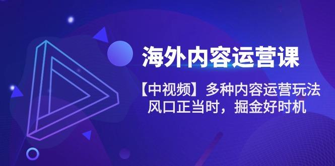 海外内容 运营课【中视频】多种内容运营玩法 风口正当时 掘金好时机-101节-全有网创