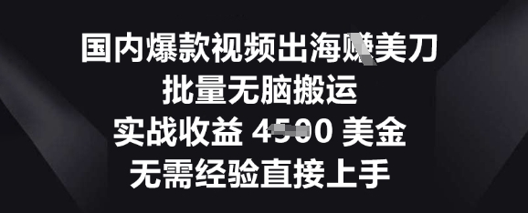 国内爆款视频出海挣美刀，批量无脑搬运，实战收益4.5k，无需经验直接上手-全有网创