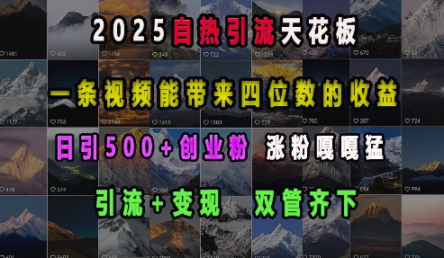 2025自热引流天花板，一条视频能带来四位数的收益，引流+变现双管齐下，日引500+创业粉，涨粉嘎嘎猛-全有网创