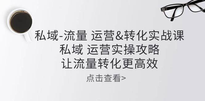 私域-流量 运营&转化实操课：私域 运营实操攻略 让流量转化更高效-全有网创