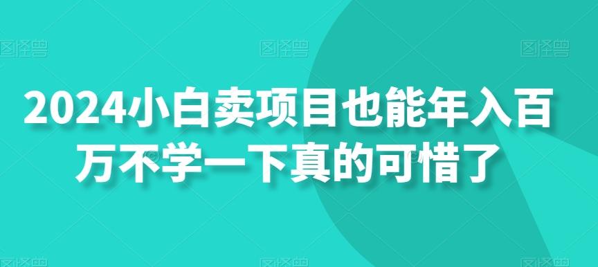 2024小白卖项目也能年入百万不学一下真的可惜了-全有网创