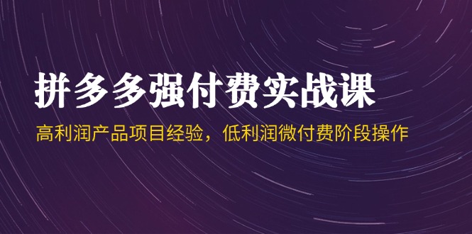 拼多多强付费实战课-44期，高利润产品项目经验，低利润微付费阶段操作-全有网创