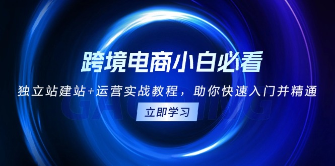 跨境电商小白必看！独立站建站+运营实战教程，助你快速入门并精通-全有网创