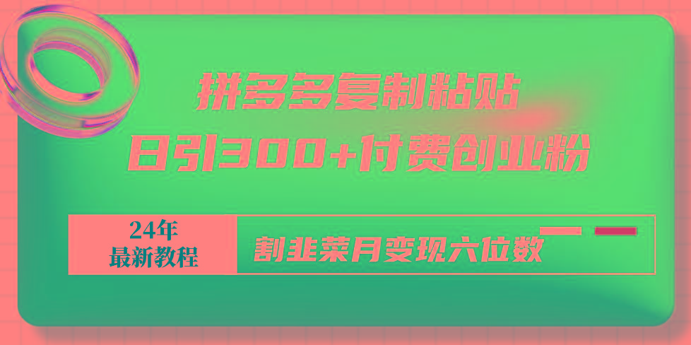 拼多多复制粘贴日引300+付费创业粉，割韭菜月变现六位数最新教程！-全有网创