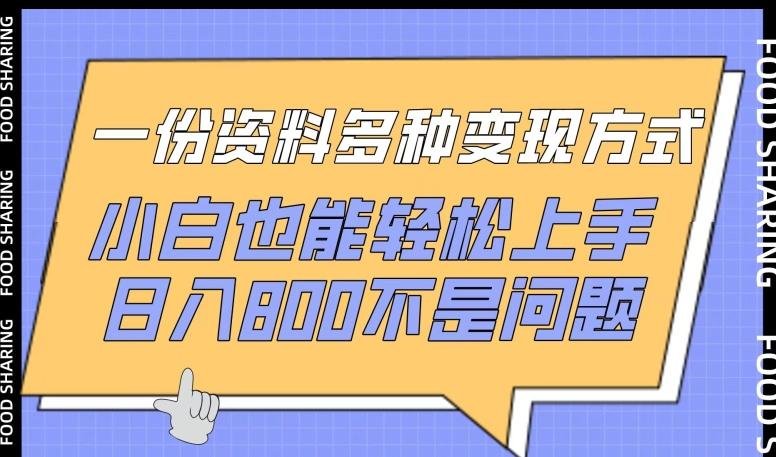 一份资料多种变现方式，小白也能轻松上手，日入800不是问题【揭秘】-全有网创