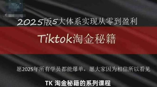 TikTok跨境2025淘金秘籍，​2025TikTok从0到盈利变现-全有网创