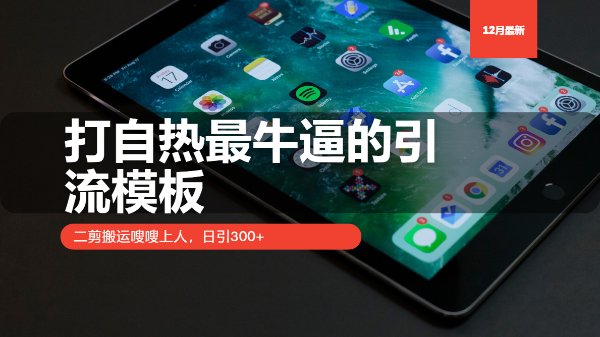 打自热最牛逼的引流模板，二剪搬运嗖嗖上人，日引300+-全有网创