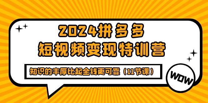 (9817期)2024拼多多短视频变现特训营，知识的丰厚比起金钱更可靠(11节课)-全有网创
