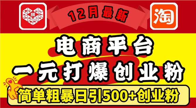 12月最新：电商平台1元打爆创业粉，简单粗暴日引500+精准创业粉，轻松月入过W【揭秘】-全有网创