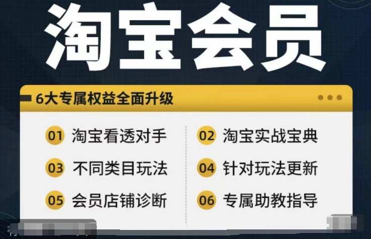 淘宝会员【淘宝所有课程，全面分析对手】，初级到高手全系实战宝典-全有网创
