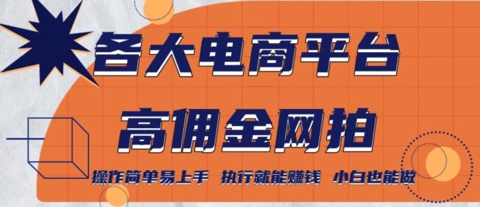 各大电商平台高佣金网拍，操作简单易上手，执行就能赚钱，小白也能做-全有网创
