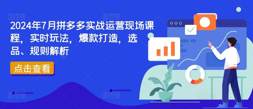 2024年7月拼多多实战运营现场课程,实时玩法,爆款打造,选品、规则解析