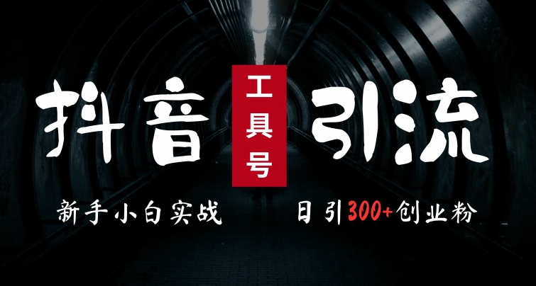2024最新抖音工具号引流玩法，高效日引300+创业粉，当天变现5k，小白也可成为实战高手-全有网创