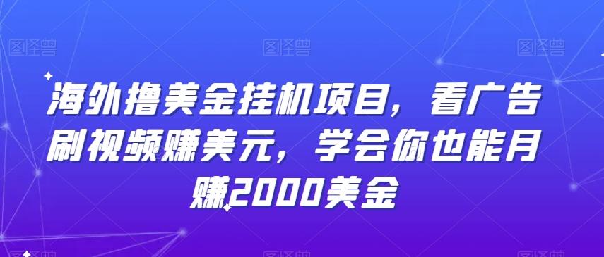 海外撸美金挂机项目，看广告刷视频赚美元，学会你也能月赚2000美金-全有网创