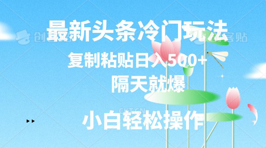 最新头条冷门玩法，隔天就爆，复制粘贴日入500+-全有网创