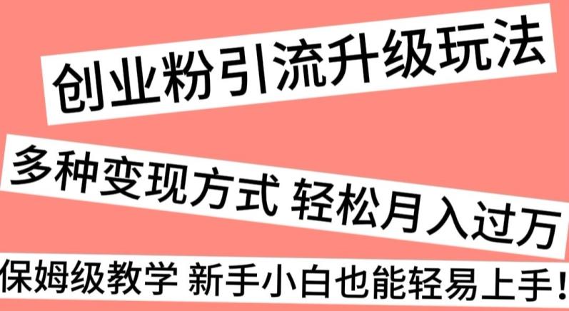 创业粉引流升级玩法，多种变现方式轻松月入过万，保姆级教学新手小白也能轻易上手！-全有网创